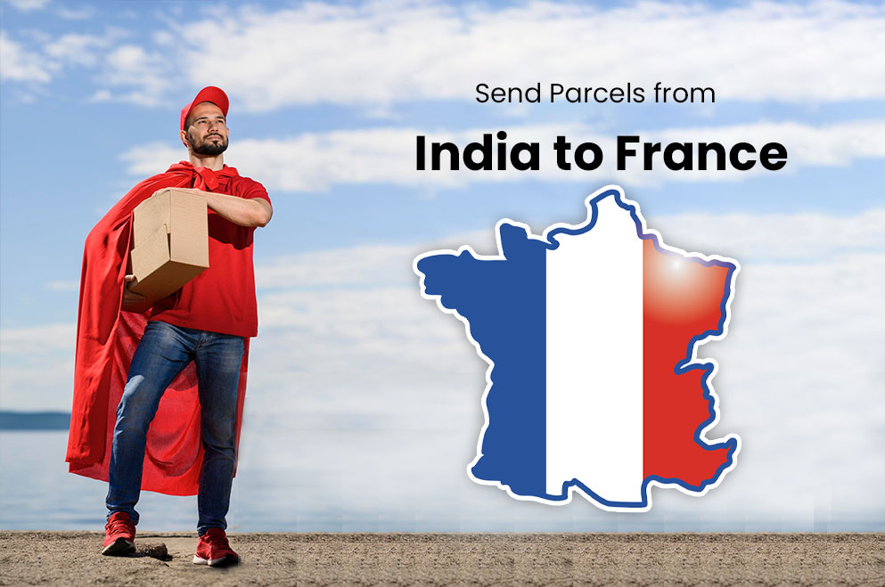 India to France Courier Service